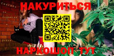 индика Славгород