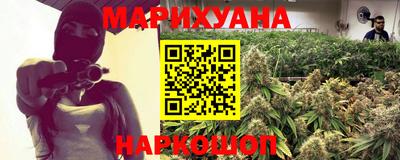 индика Славгород