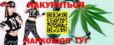 индика Славгород