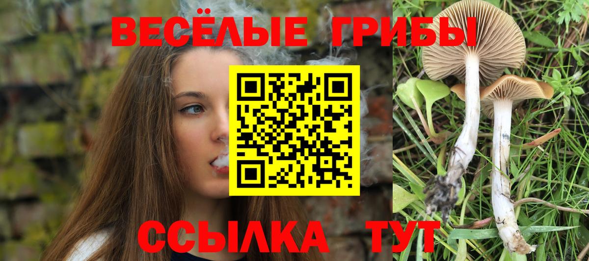 Юрга  Псилоцибиновые грибы мухоморы  Галлюциногенные грибы MAGIC MUSHROOMS  Вход с VPN 